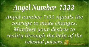 Angel Number 7333