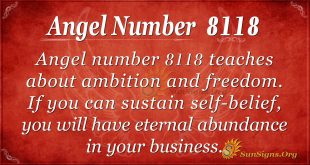 angel number 8118