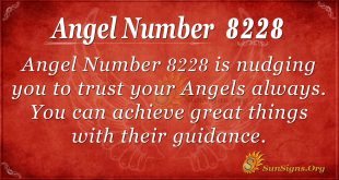 angel number 8228
