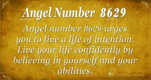 angel number 8629