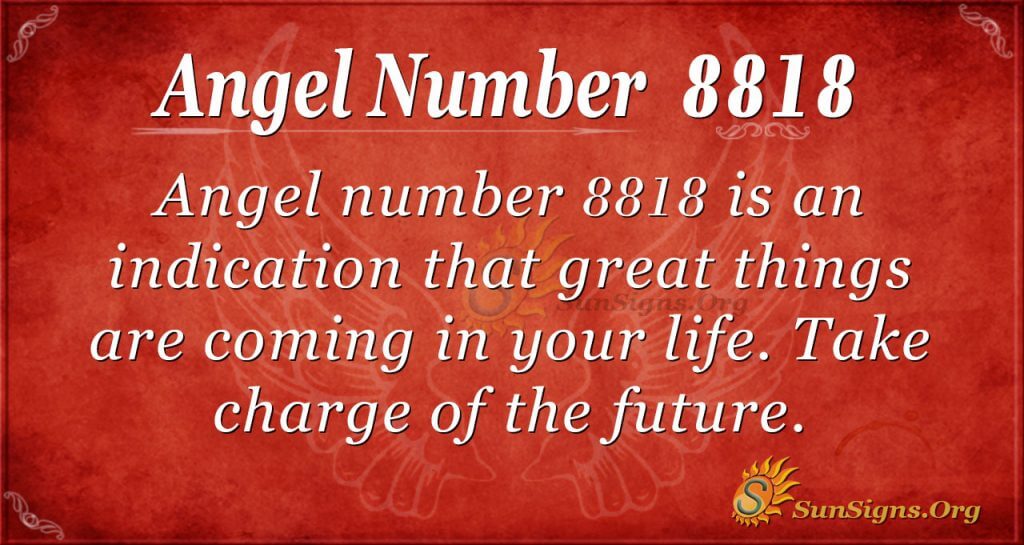 angel number 8818