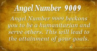 angel number 9009