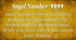 angel number 9099