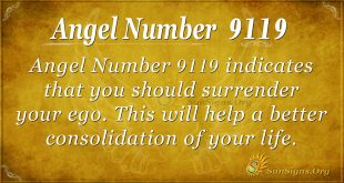 angel number 9119