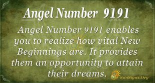 angel number 9191