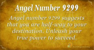 Angel Number 9299