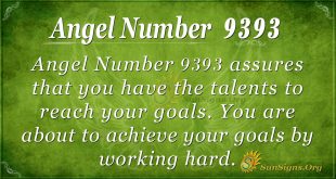 angel number 9393