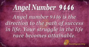 angel number 9446