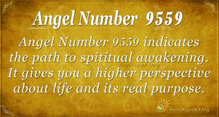 angel number 9559