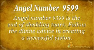 angel number 9599
