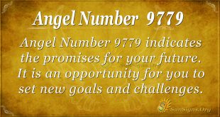 angel number 9779