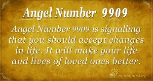 angel number 9909