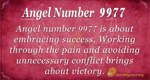 angel number 9977