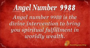 angel number 9988