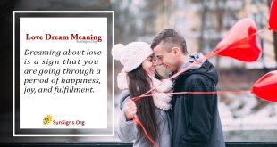 Love Dream Meaning