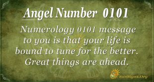 angel number 0101