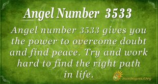 angel number 3533