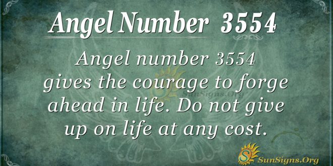 angel number 3554