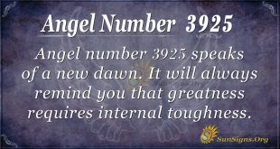 Angel Number 3925