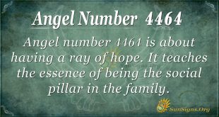 Angel Number 4464