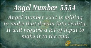 angel number 5554