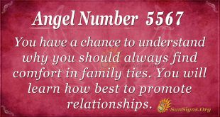 angel number 5567