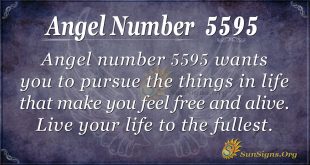 angel number 5595
