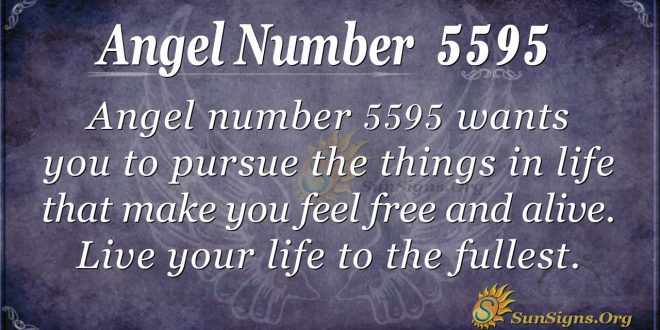 angel number 5595