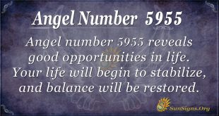 angel number 5955