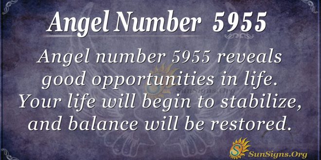angel number 5955