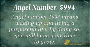 Angel Number 5994