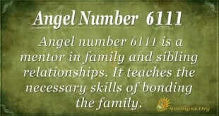angel number 6111
