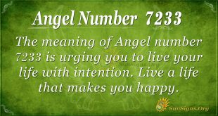 Angel Number 7233