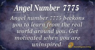 Angel Number 7775
