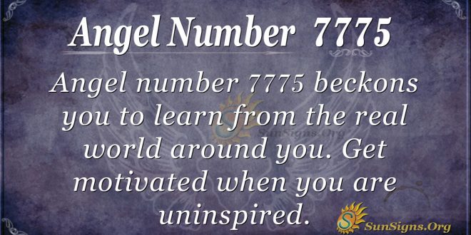 Angel Number 7775