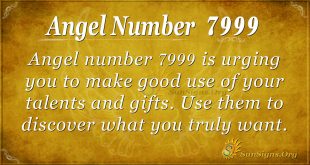 Angel Number 7999