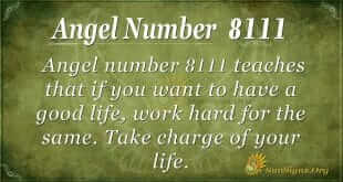 angel number 8111
