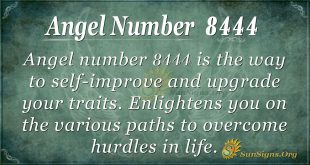 Angel Number 8444