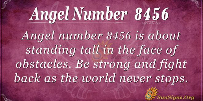 angel number 8456