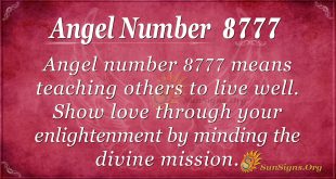 angel number 8777