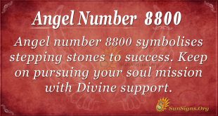 Angel Number 8800