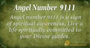 Angel Number 9111