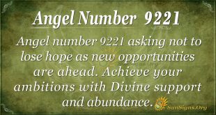 Angel Number 9221