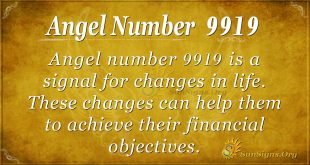 Angel Number 9919