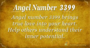 Angel number 3399