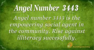 Angel number 3443