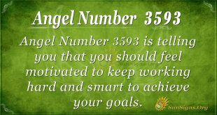 Angel number 3593