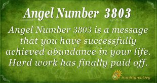 Angel number 3803