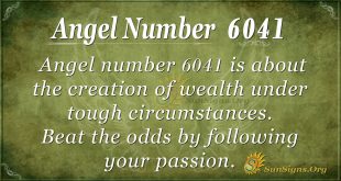 Angel number 6041