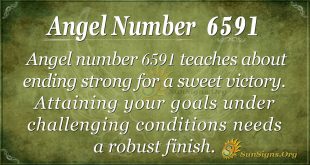 Angel number 6591